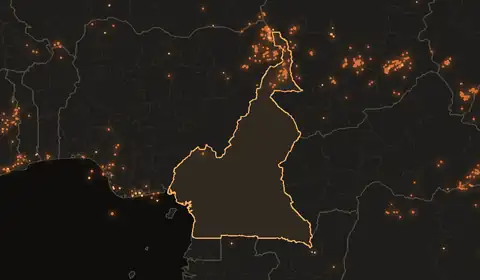 Feux de forêt au Cameroun